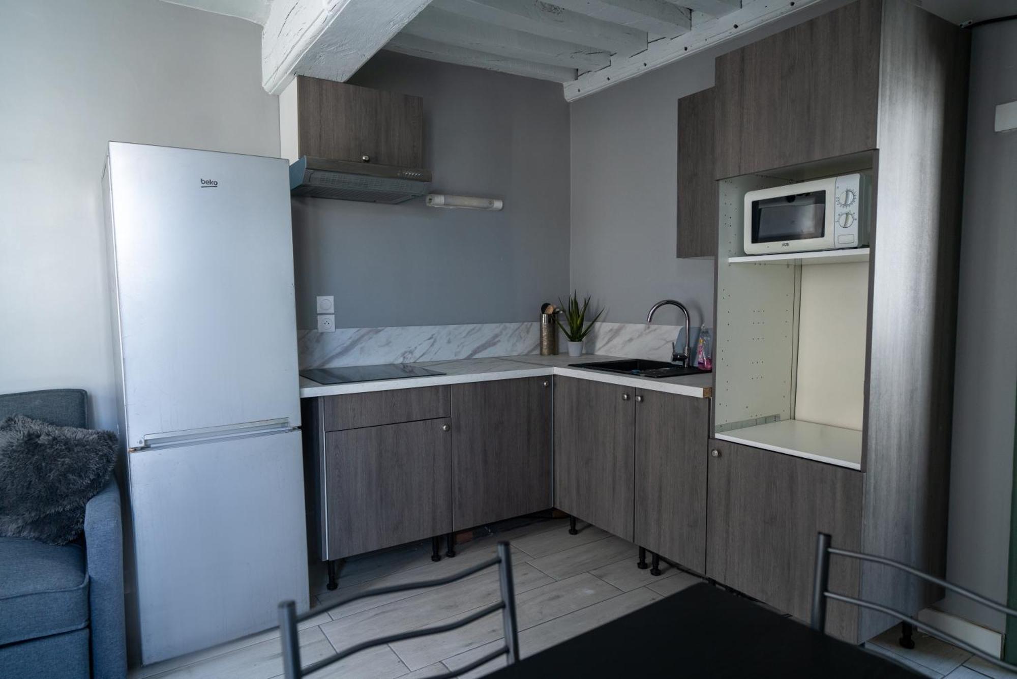 Celeste Appart - Grand Appartement Centre Ville - Refait A Neuf 奥尔良 外观 照片