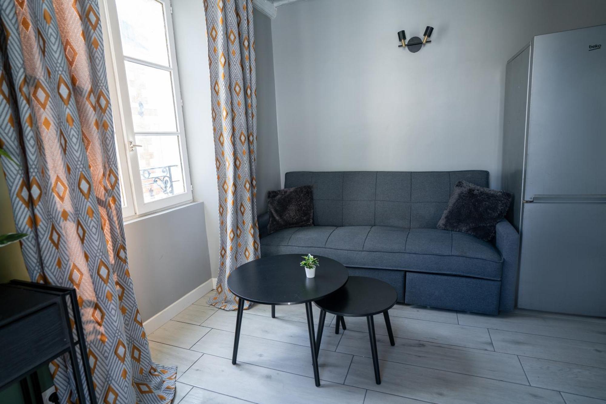 Celeste Appart - Grand Appartement Centre Ville - Refait A Neuf 奥尔良 外观 照片