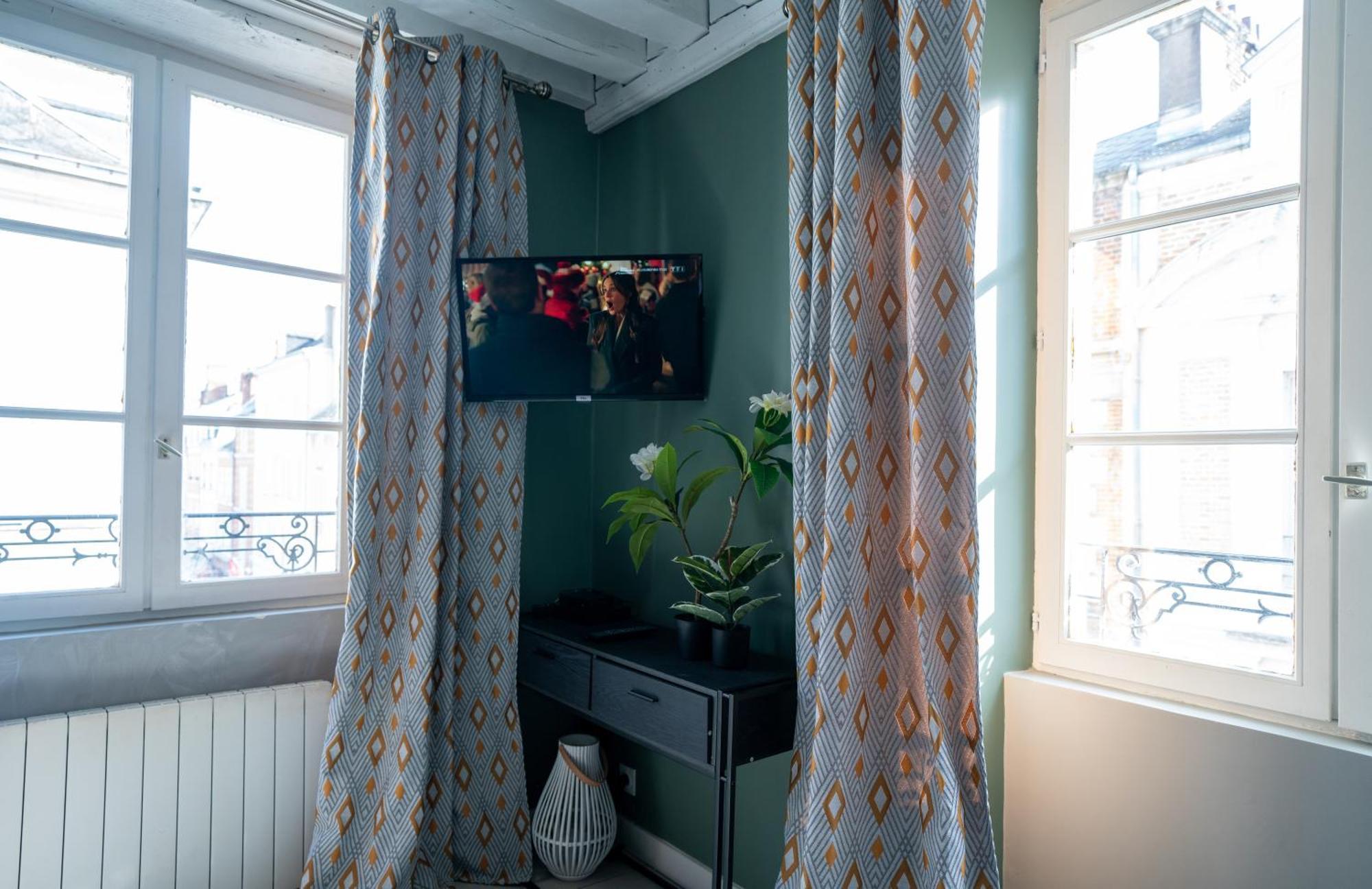 Celeste Appart - Grand Appartement Centre Ville - Refait A Neuf 奥尔良 外观 照片